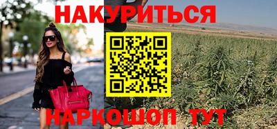 стаф Абакан