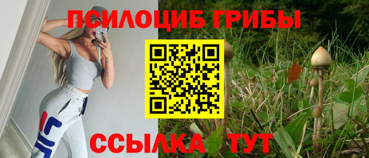 Алейск  Галлюциногенные грибы прущие грибы  Вход с VPN 