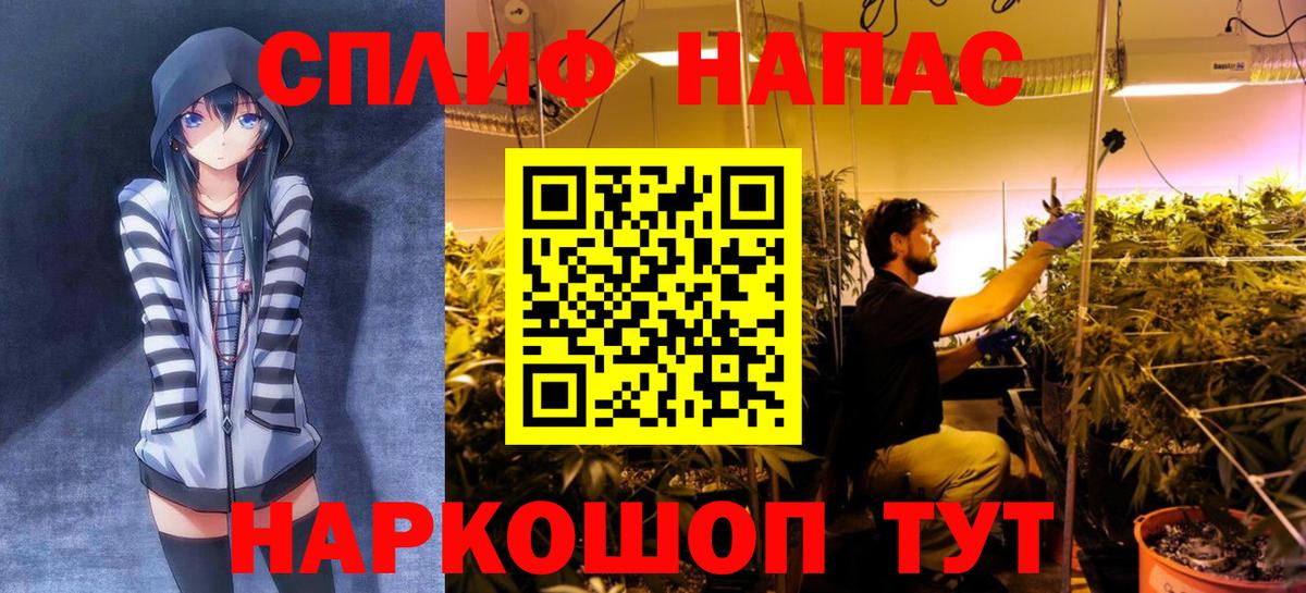 Бошки Шишки ГИДРОПОН  Бошки Шишки SATIVA & INDICA  Шишки марихуана VHQ  Вход с VPN  Алейск  Шишки марихуана сатива 